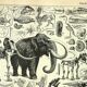 Botanical engraving 1897 A. Millot - Paleontology 2, prehistory
