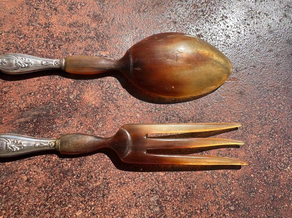 open to Salad Old in Horn and Silver-Plated Metal lined Swan Decor