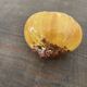 Vintage barbotine pepper and salt shaker in the shape of garlic and onion