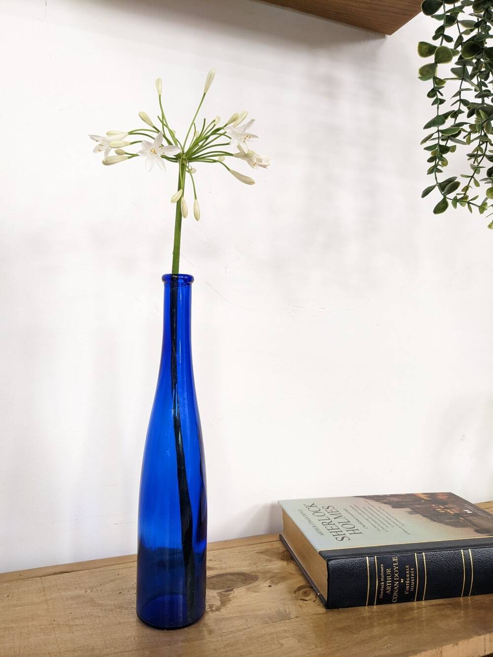 Blue bottle
