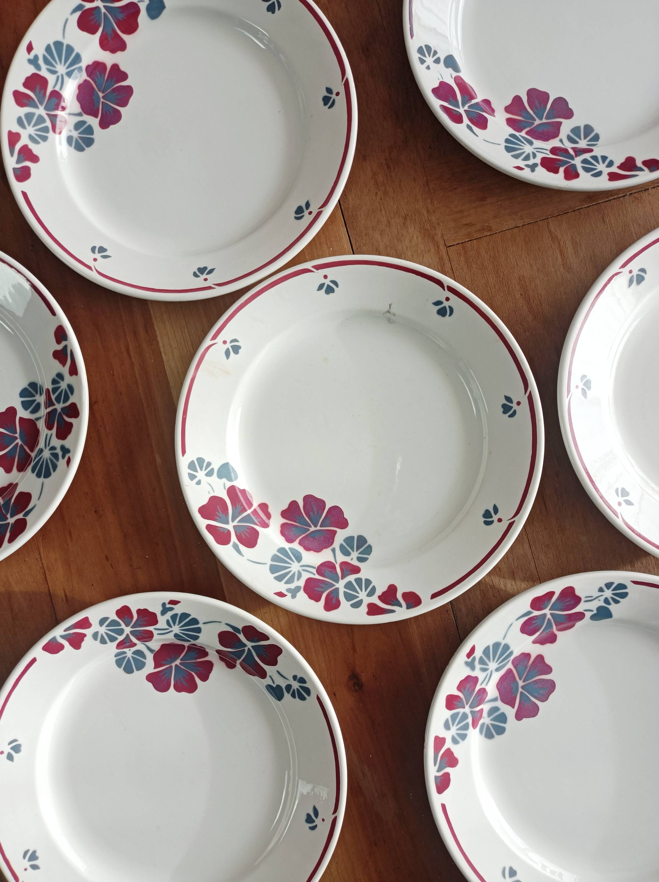 Set of 12 earthenware plates Salins, Nelly red