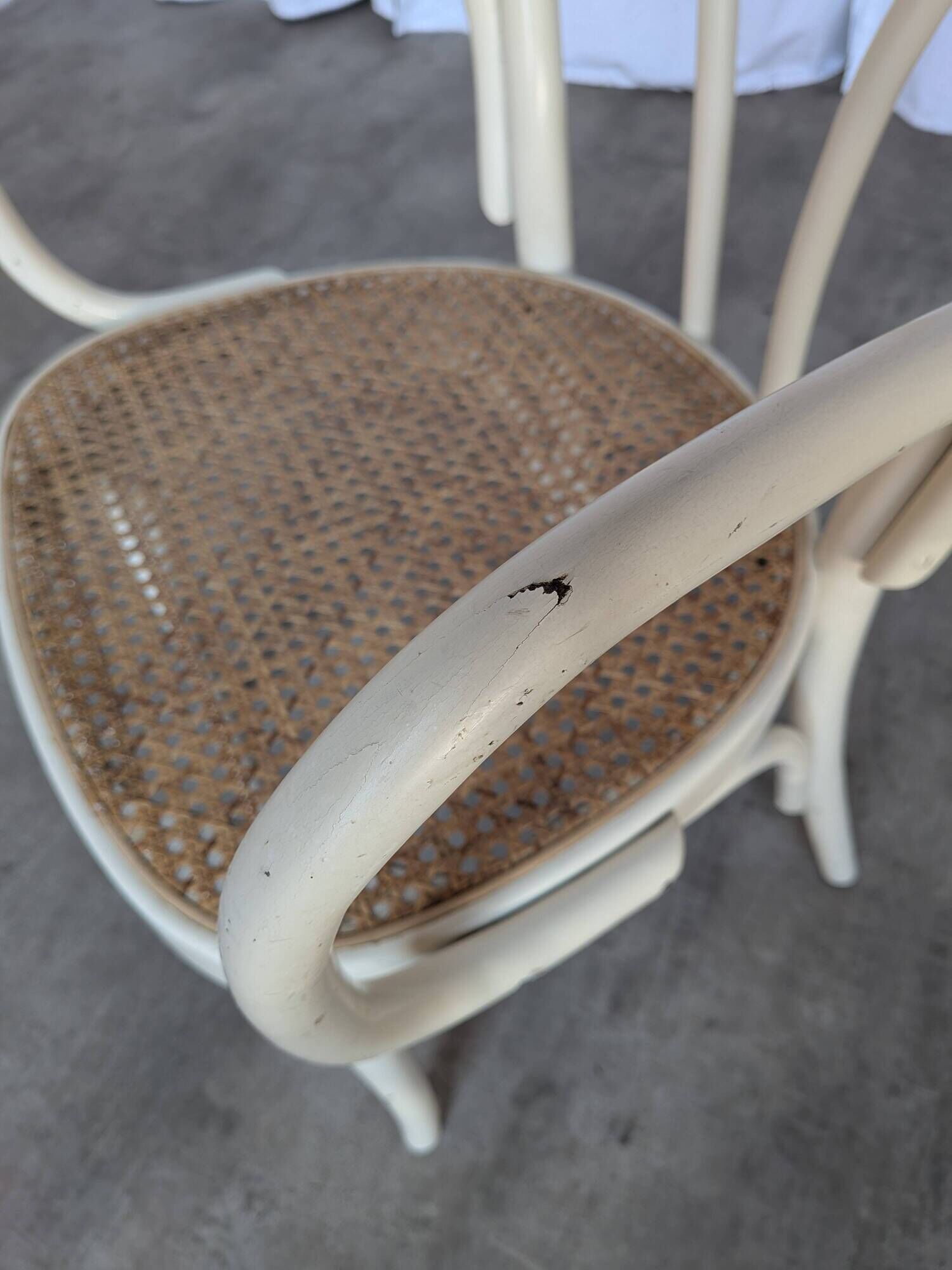 Vintage Thonet Style Dining Chair: White Beech Bentwood Cane Seat