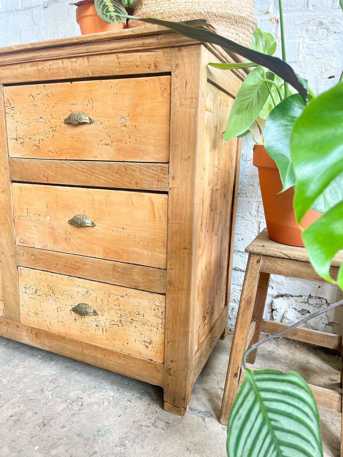 Old haberdashery furniture