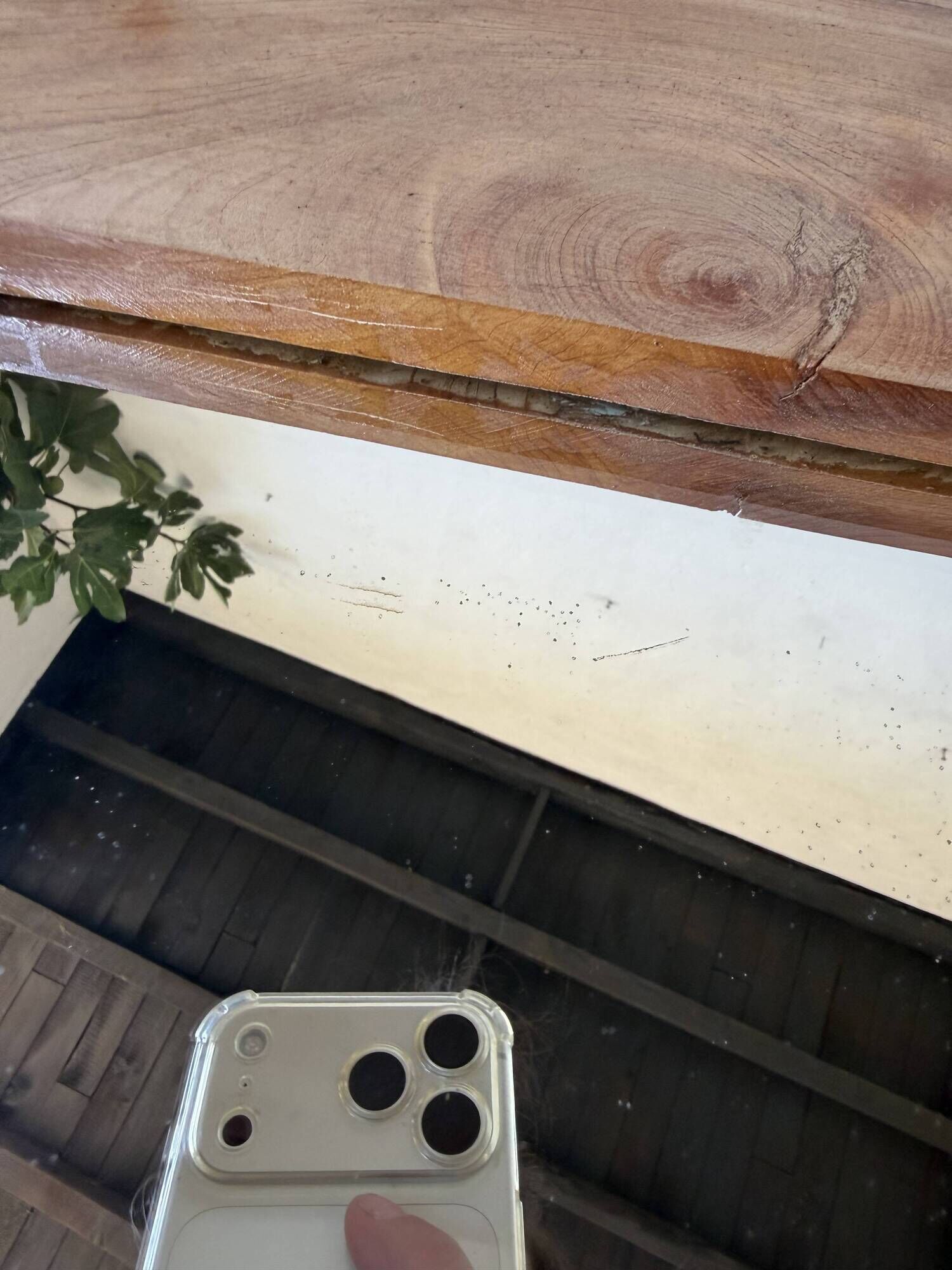 Brutalist organic mirror wood 1960s