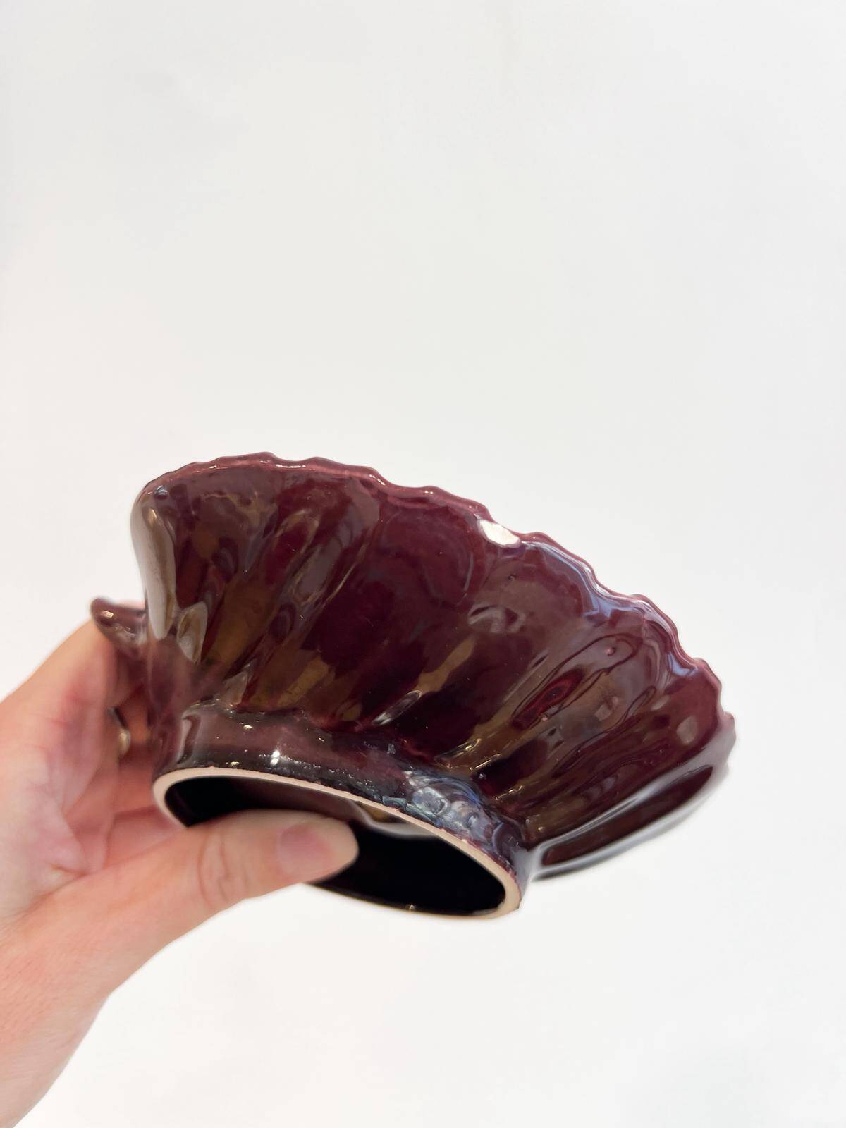 Ceramic shell soap dish or empty pocket