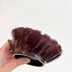 Ceramic shell soap dish or empty pocket