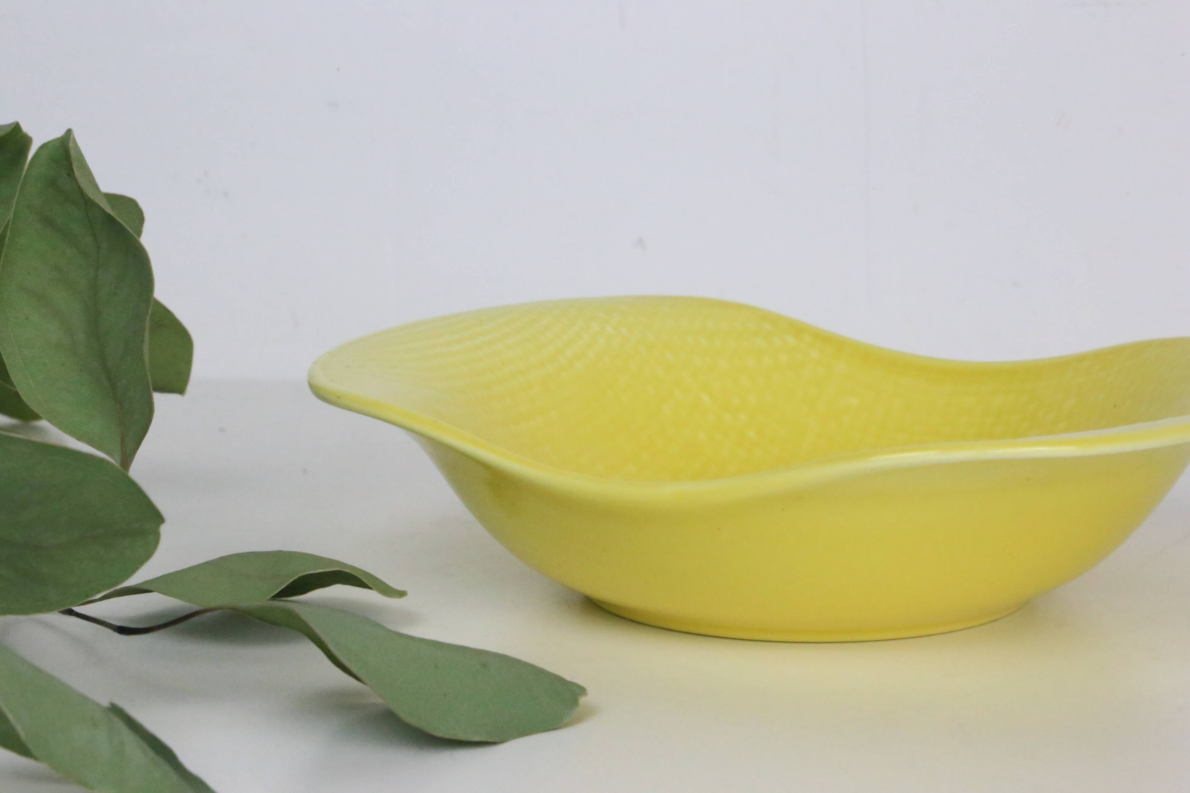 Salins ceramic bowl, 70', French manufacture