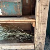 Carpenter's workbench