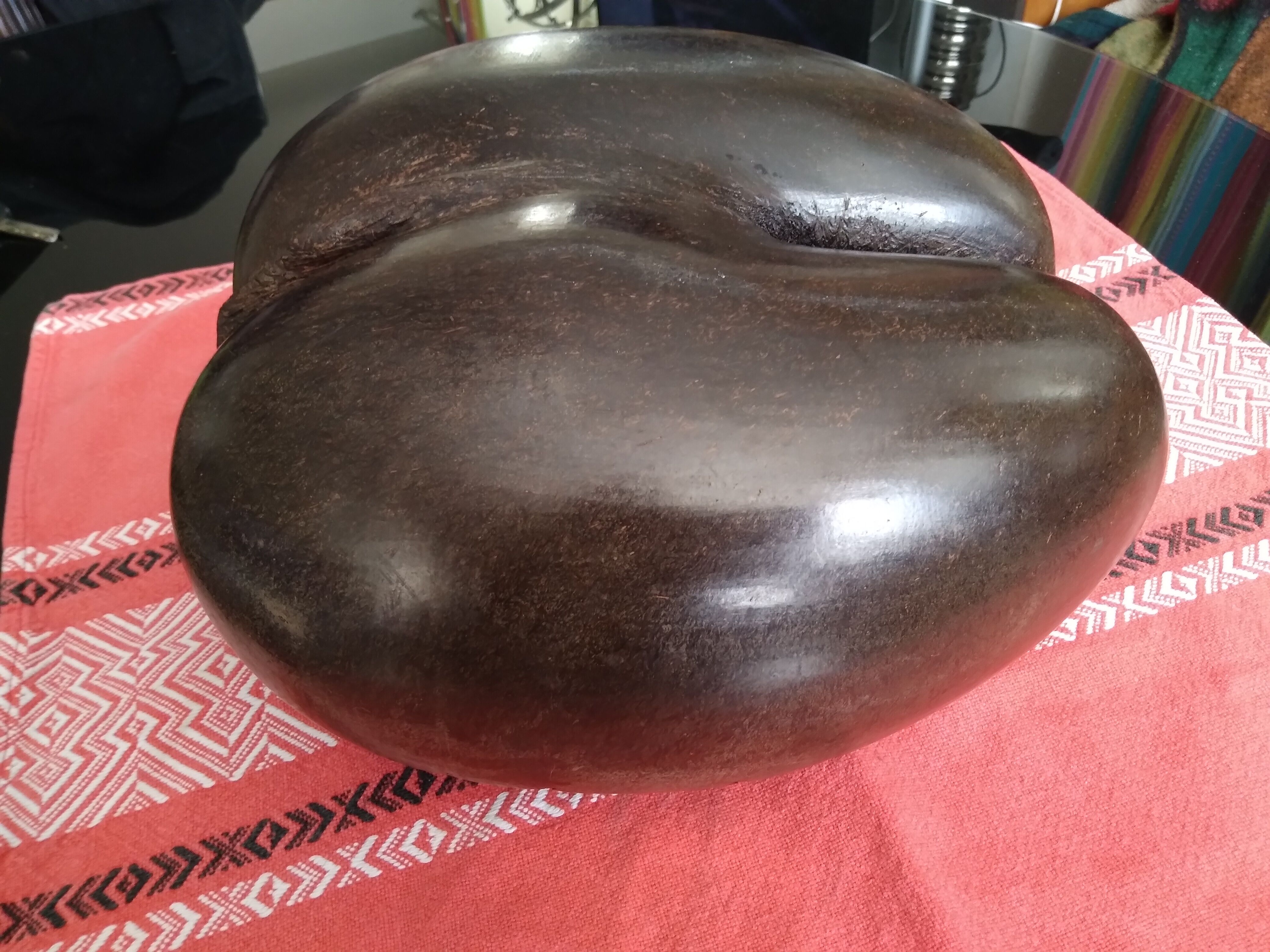 Coconut basket buttocks of Seychelles