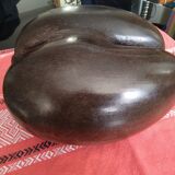Coconut basket buttocks of Seychelles