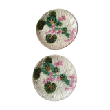 Plates in dabbling