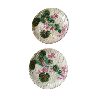 Plates in dabbling