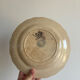 Old ironstone plate from Choisy-le-Roi, Hte Boulenger and Co.
