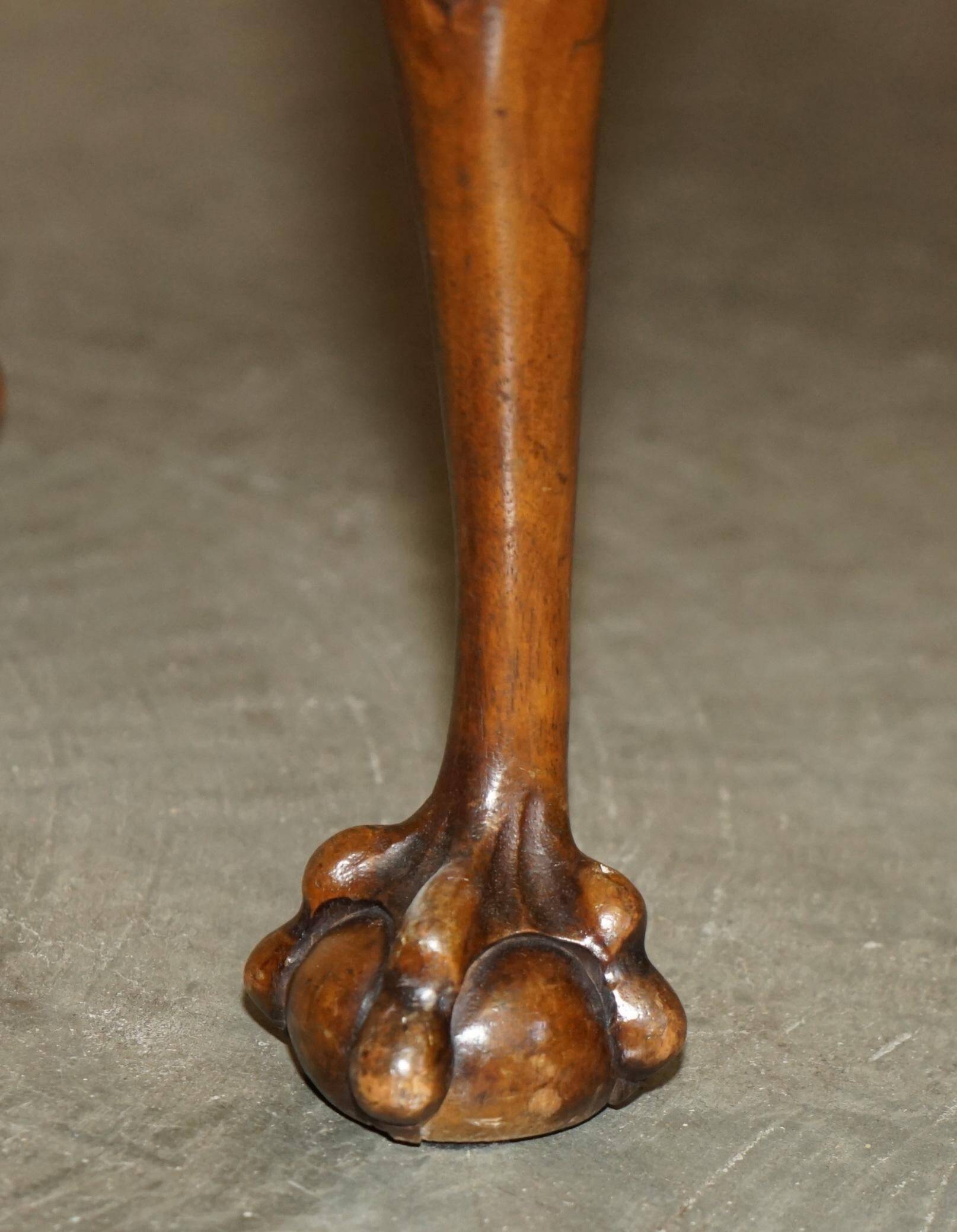 Banc ancien en cuir et noyer burr, style victorien