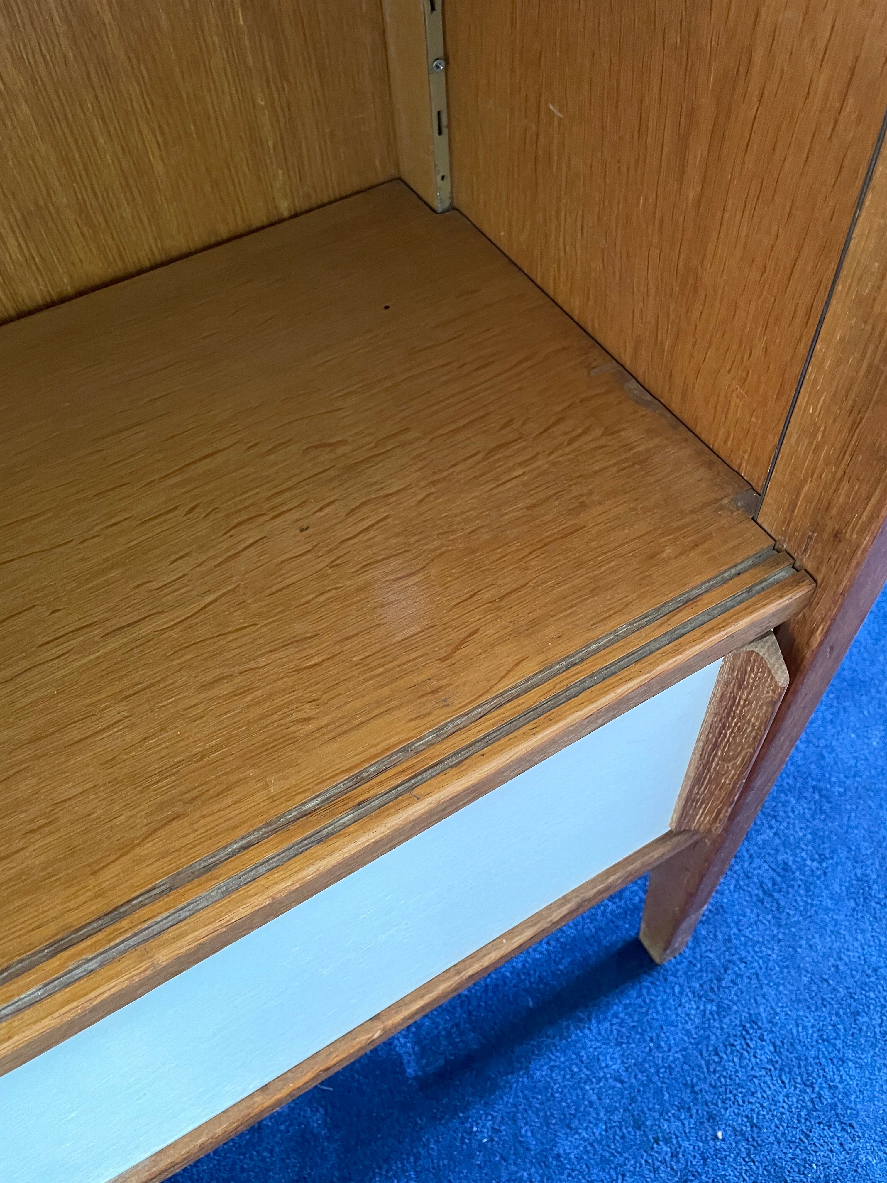 Scandinavian vintage library storage cabinet