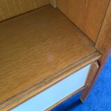 Scandinavian vintage library storage cabinet