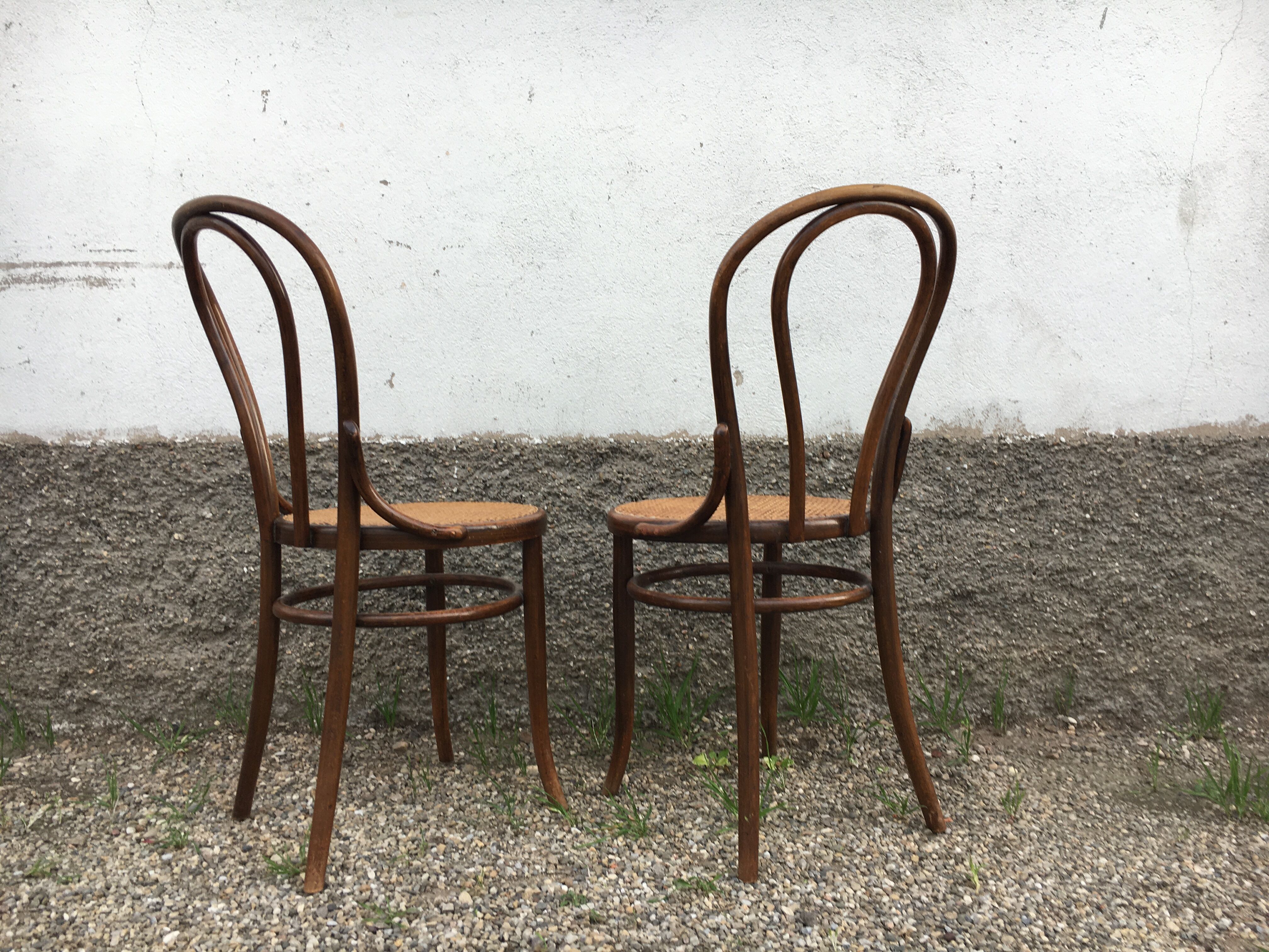 Pair of fischel chairs made in Austria curved wood