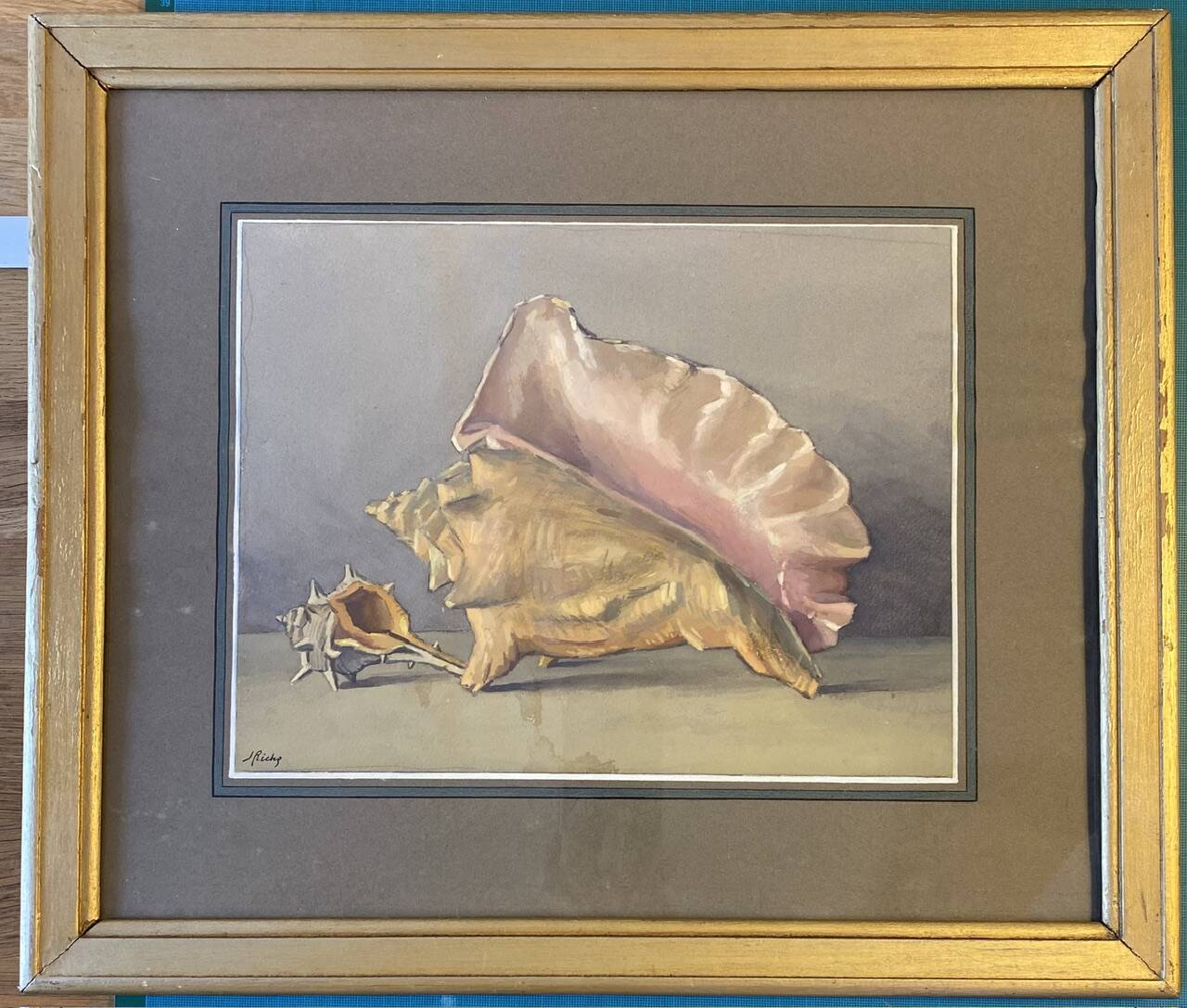 Old painting, still life with shells, 20th century