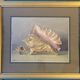 Old painting, still life with shells, 20th century