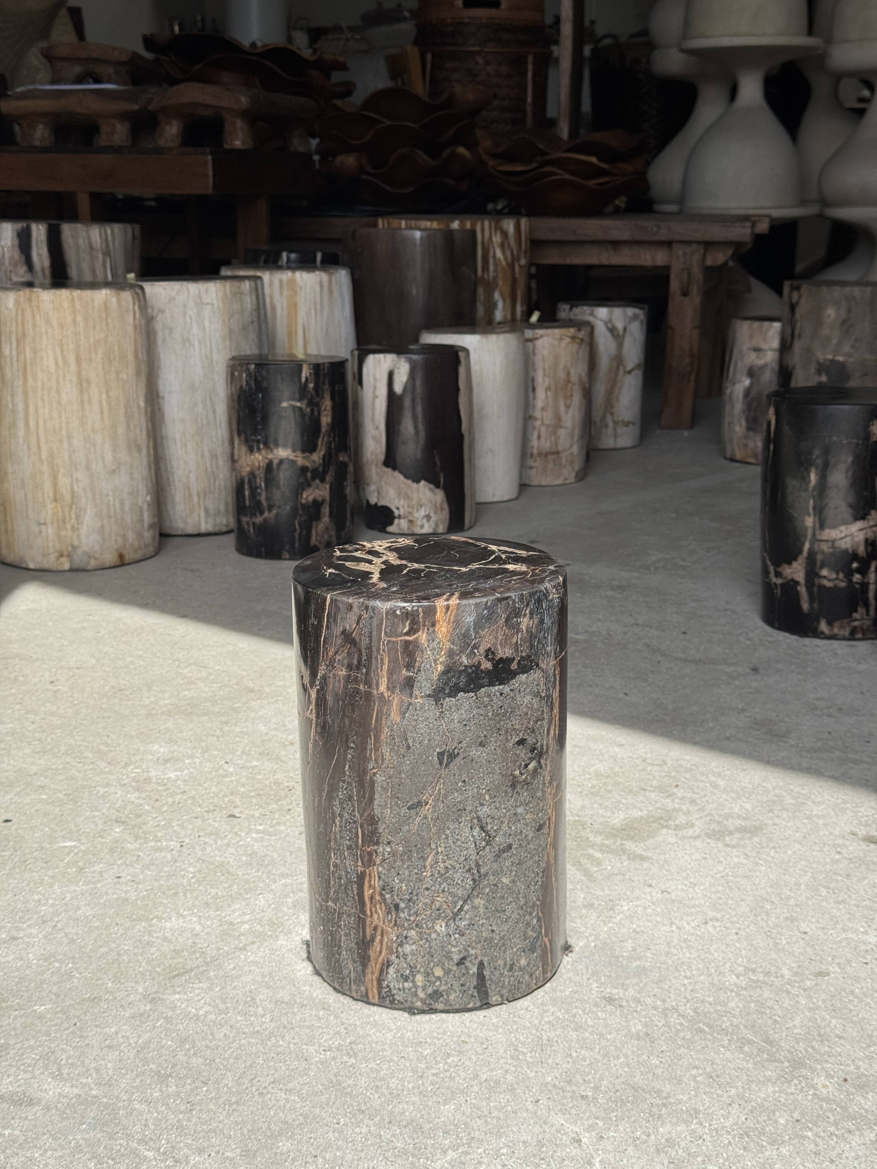 Table d'appoint en bois pétrifié noir
