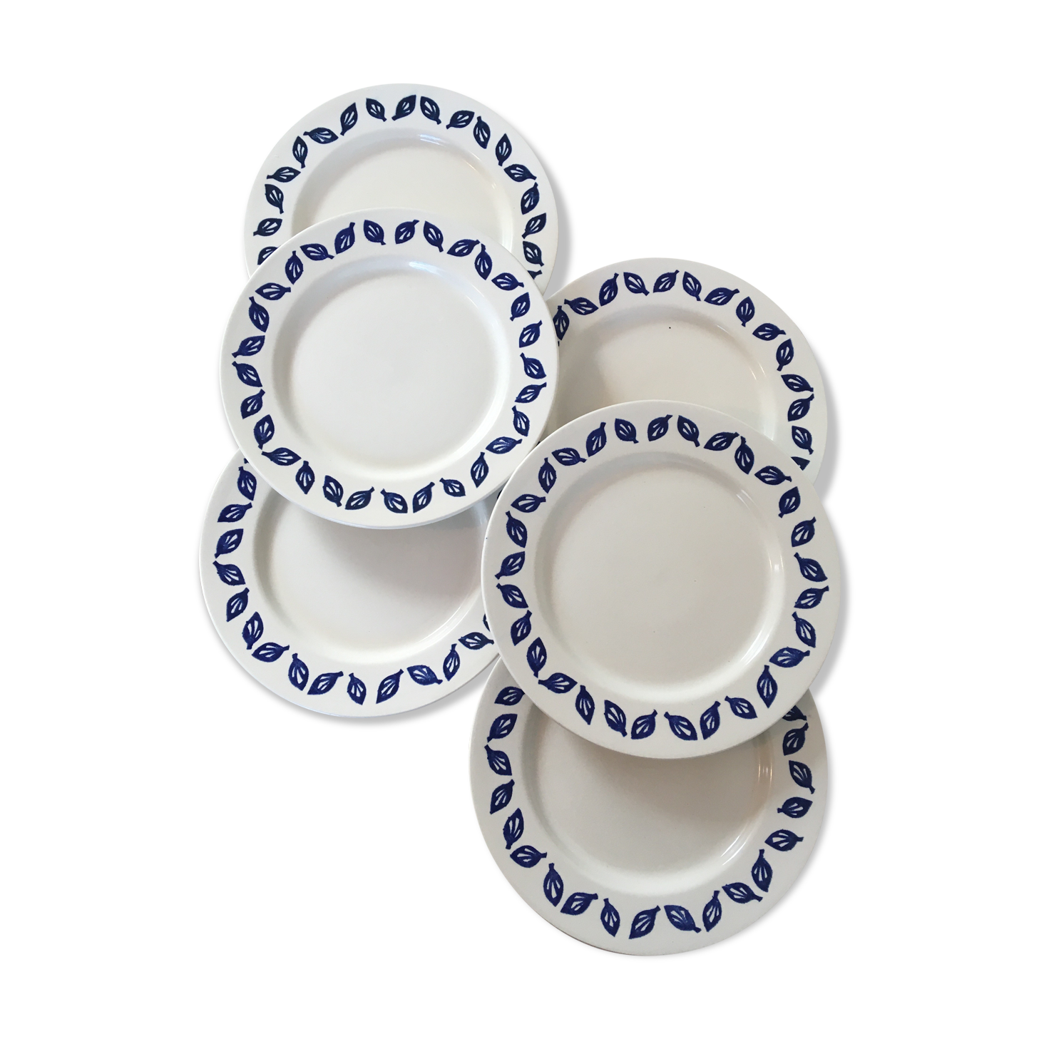 Flat plates blue leaves