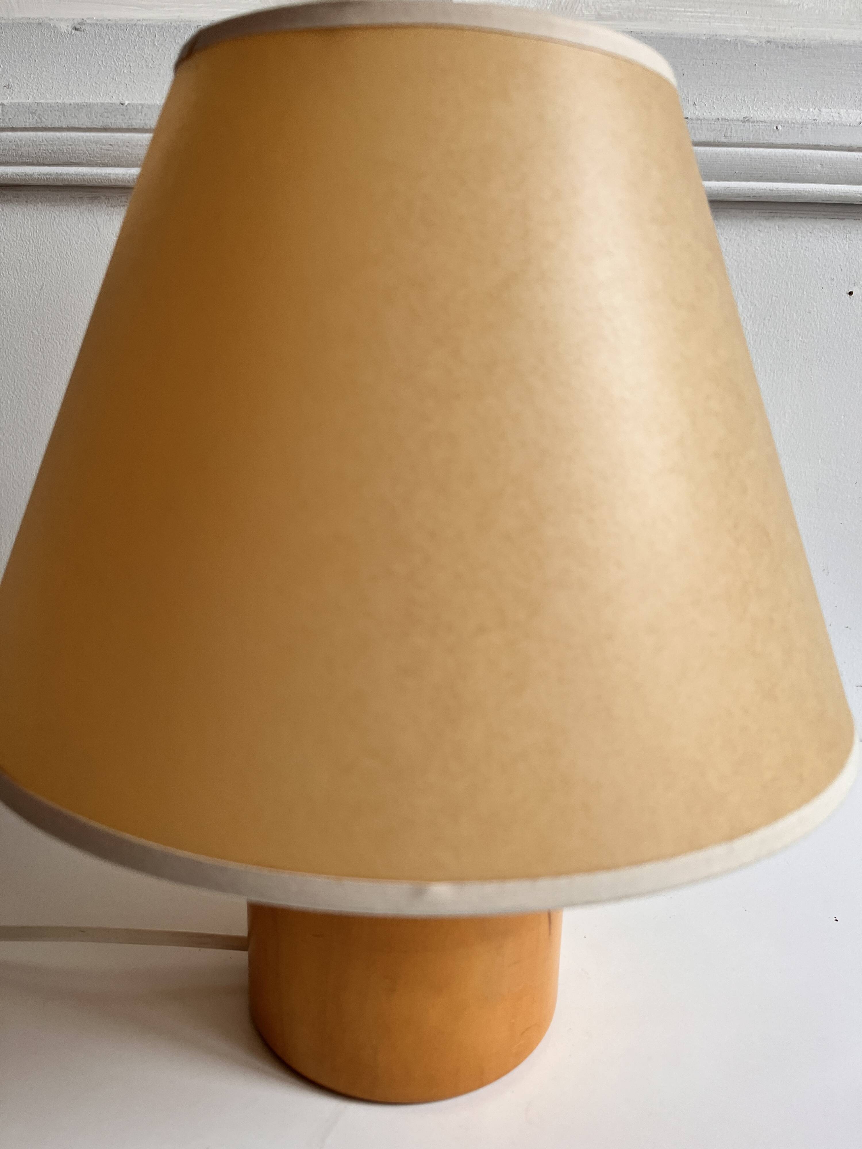 Lamp pin 1970