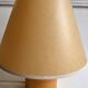 Lamp pin 1970