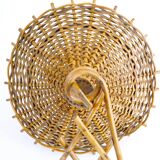 rattan wall lamp for hanging plant