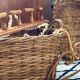 Old rattan and metal basket