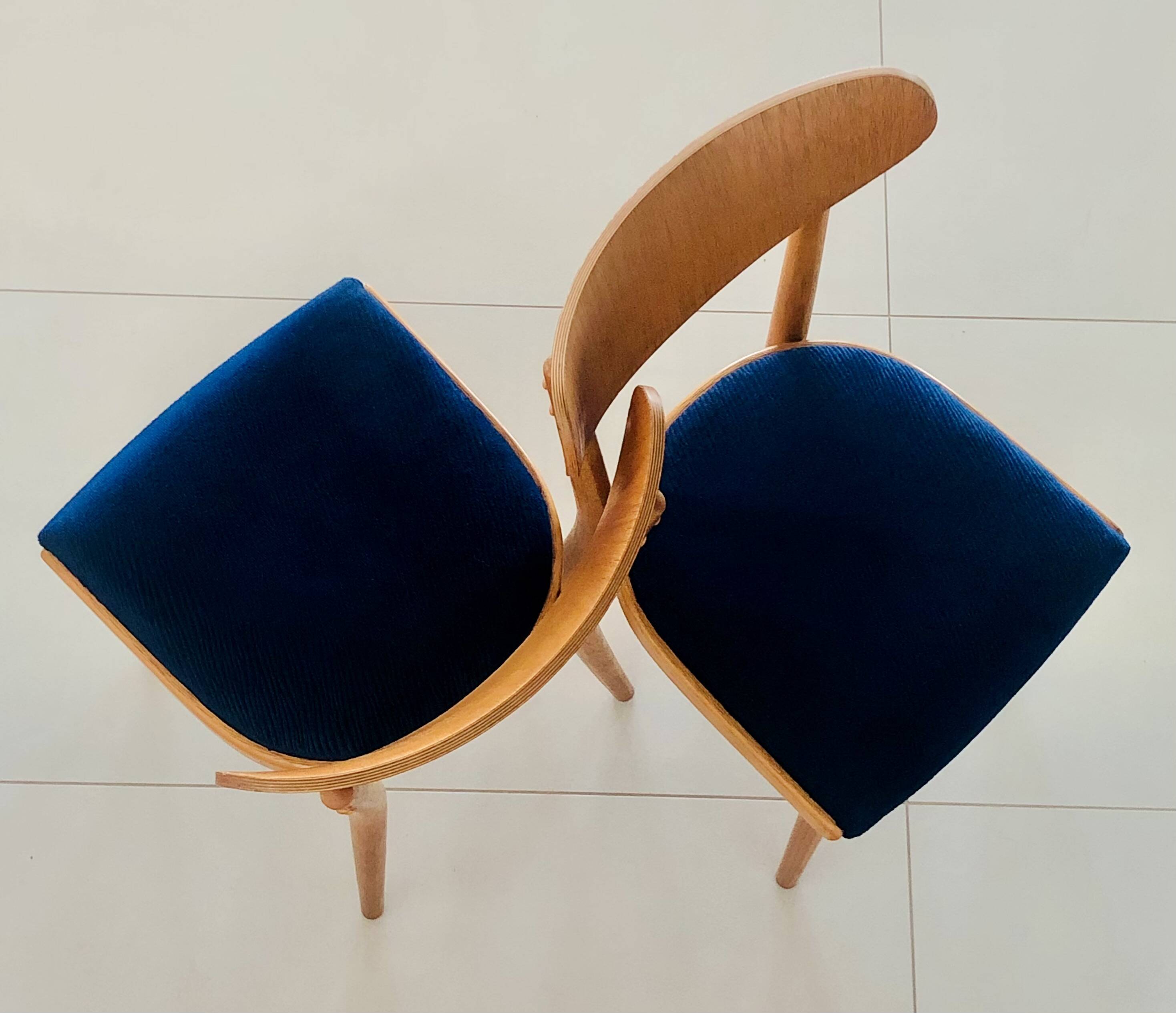 Chaises en bois de hêtre, Tchécoslovaquie années 50