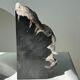 Black petrified wood bookend H17 L17 P6
