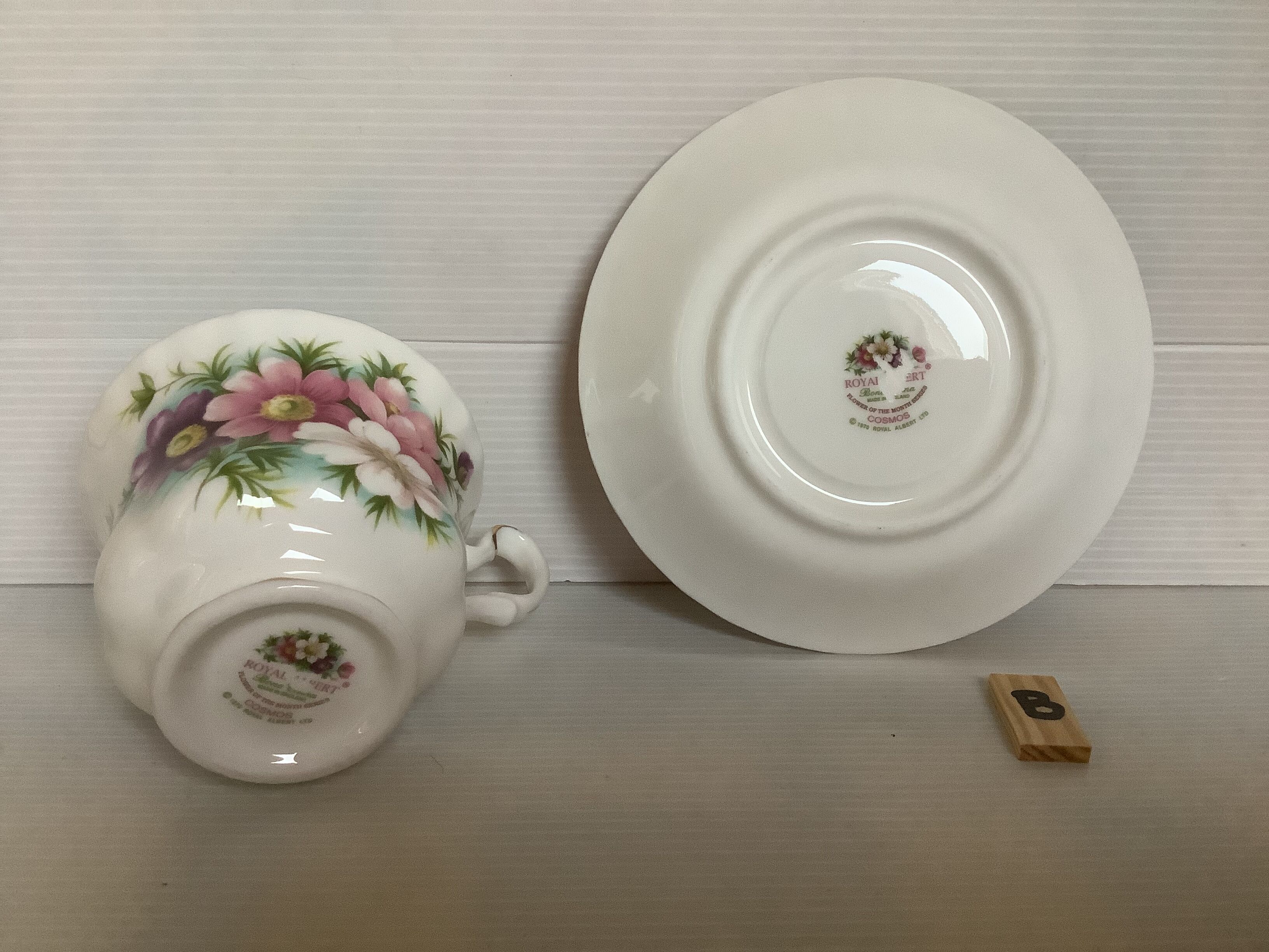 Cosmos Cup October Royal Albert