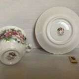 Cosmos Cup October Royal Albert