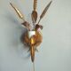 Pair of vintage Italian Hollywood Regency style sconces