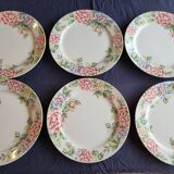 Rose Garden Plates Set by Showa Art Workshop Japan (Set of 6)