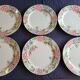 Rose Garden Plates Set by Showa Art Workshop Japan (Set of 6)