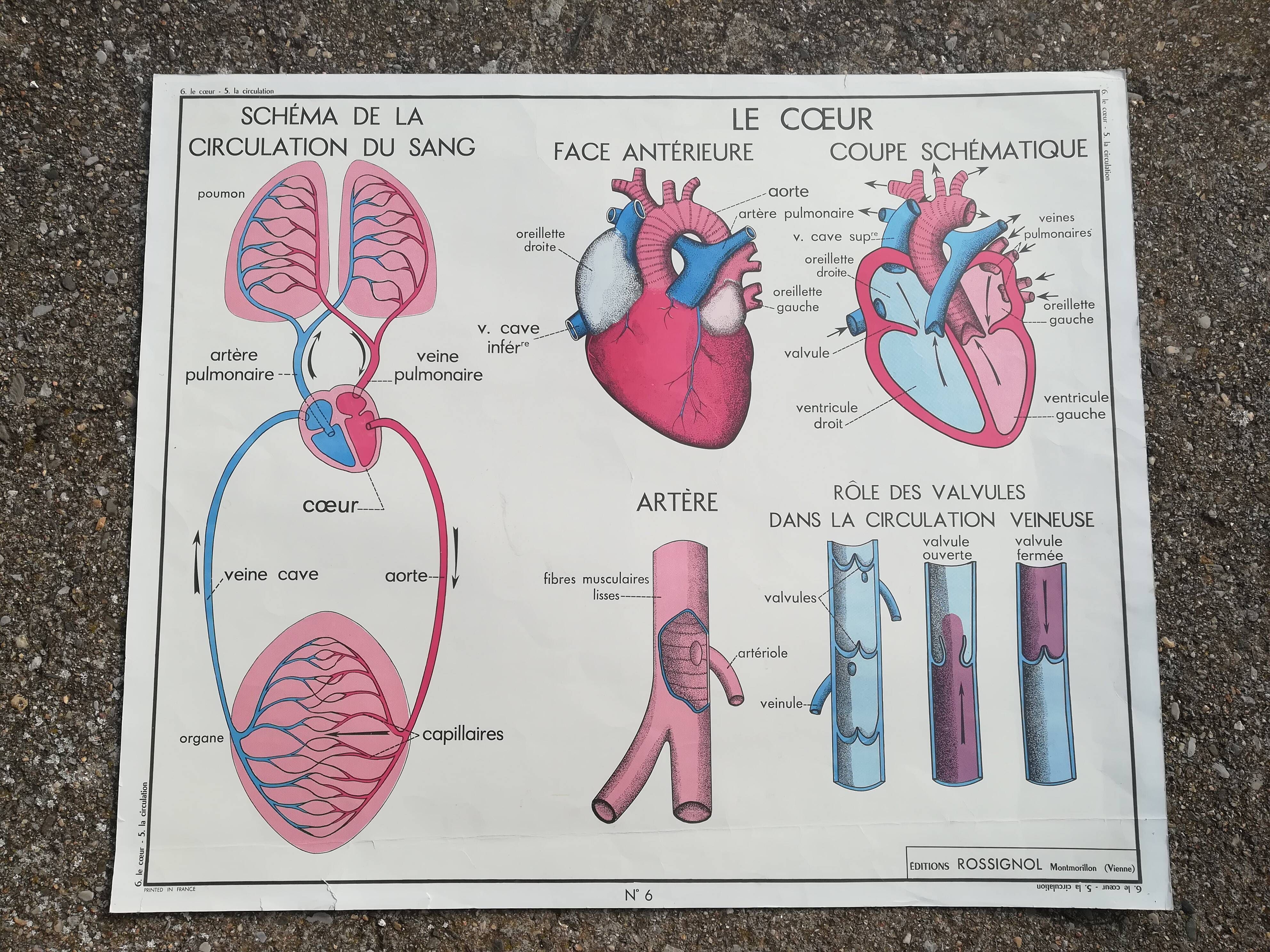 Rossignol school poster N°5 The heart N°6 Vintage traffic