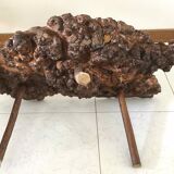 Brutalist coffee table in elm magnifying glass