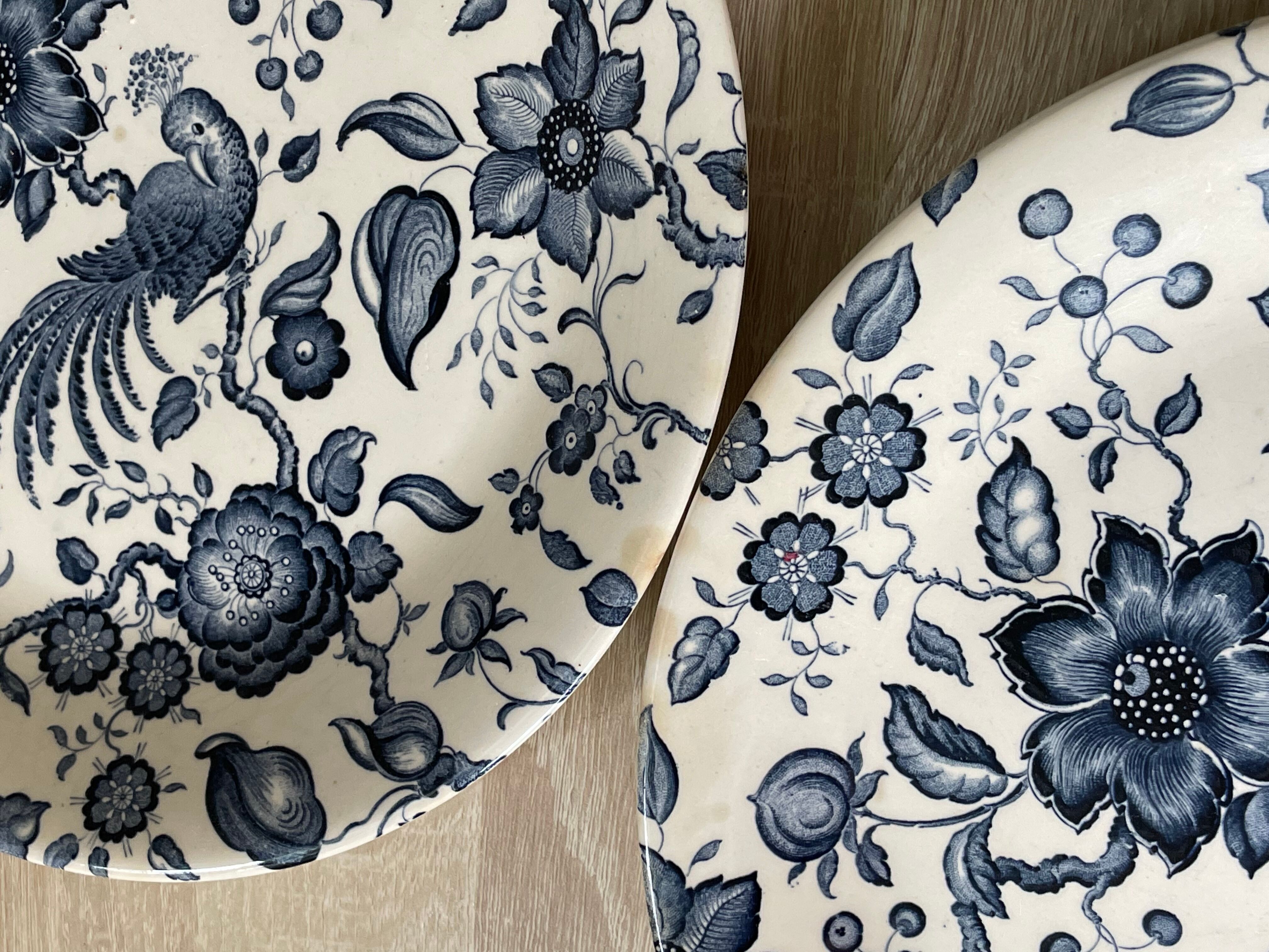 Set of 6 plates Villeroy & Boch Paradiso