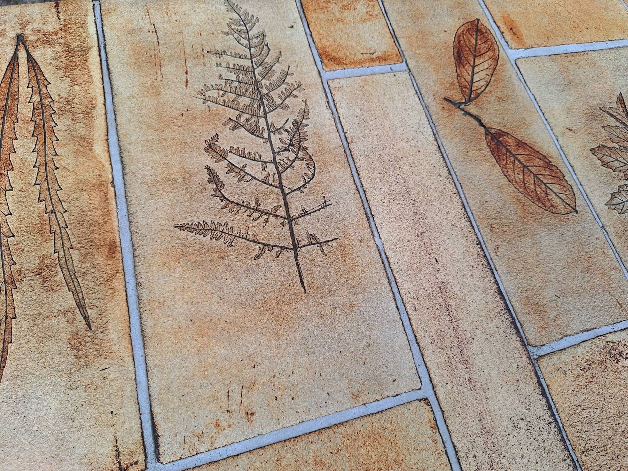 Roger CAPRON table basse  herbier