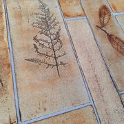 Roger CAPRON table basse  herbier