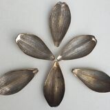 Set of 6 petals brass display