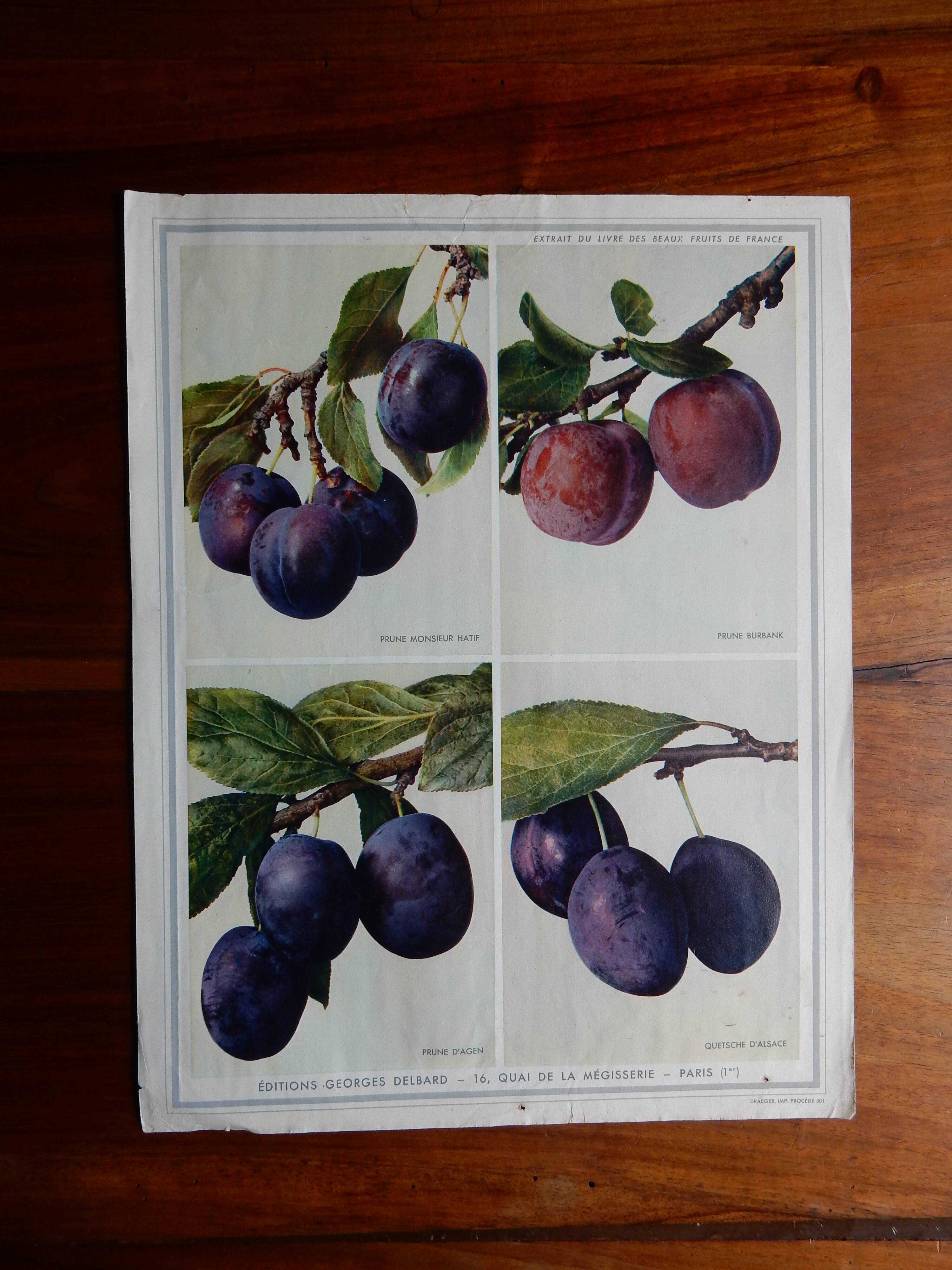 40s poster on plums