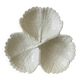 White earthenware plate