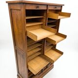 Antique double curtain cabinet in oak (internal drawers)