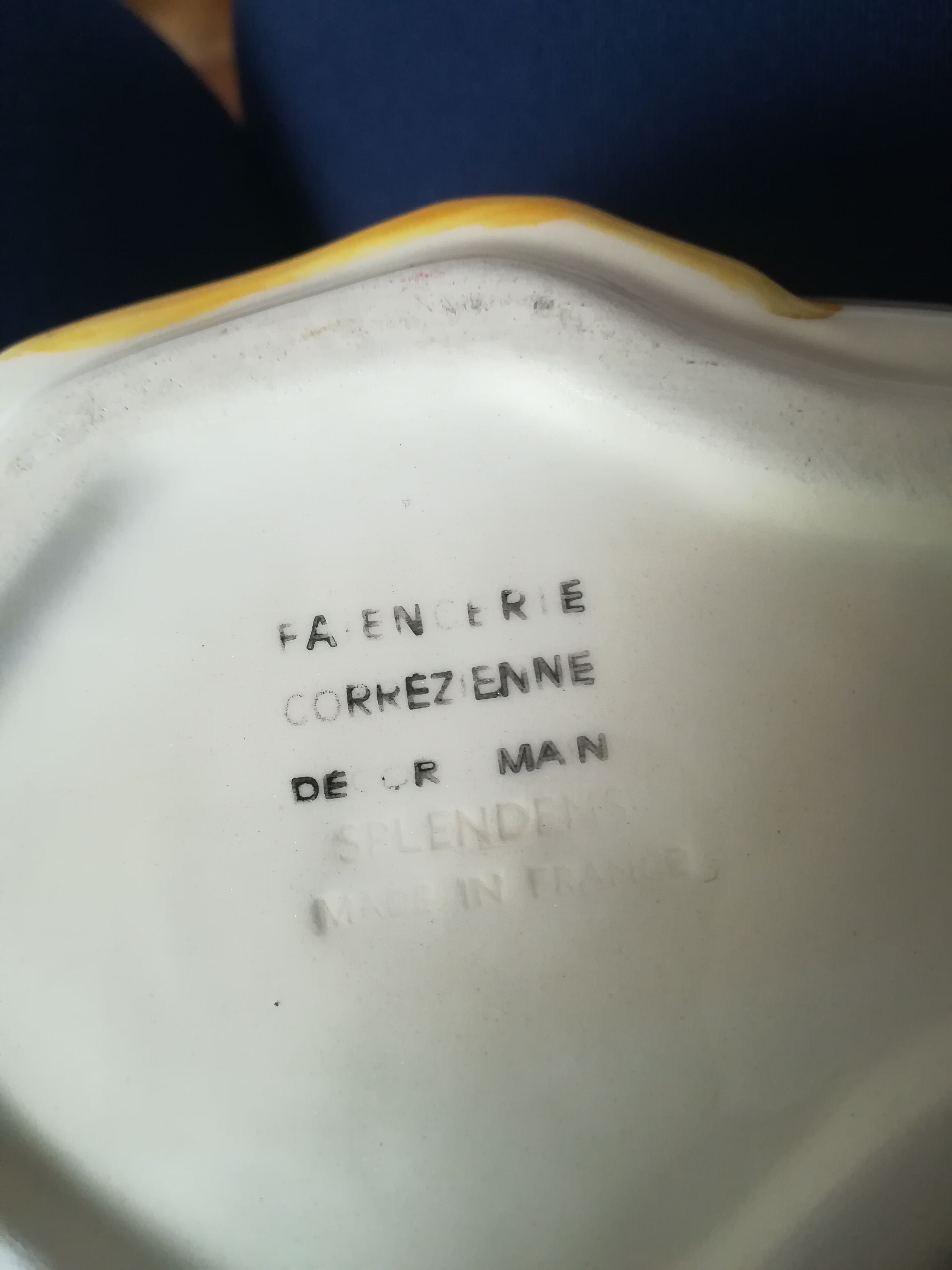 Dish in dabbling with goose