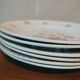 6 plates in earthenware iron by Lunéville