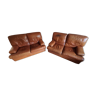 2 leather sofas 2 places