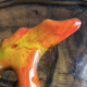 Orange Vallauris cup
