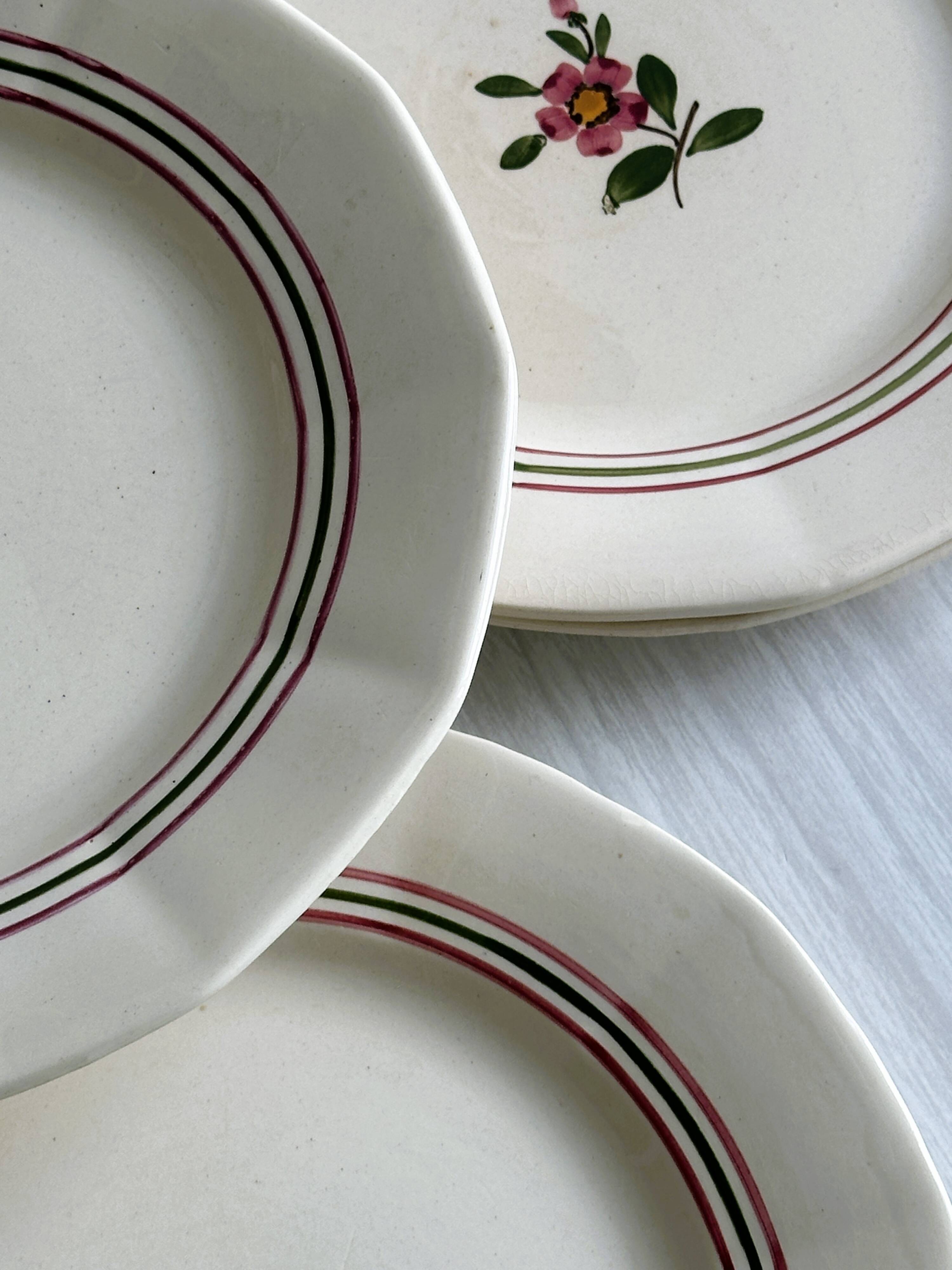 7 earthenware plates, hand-painted floral decoration, Sarreguemines, Armelle model